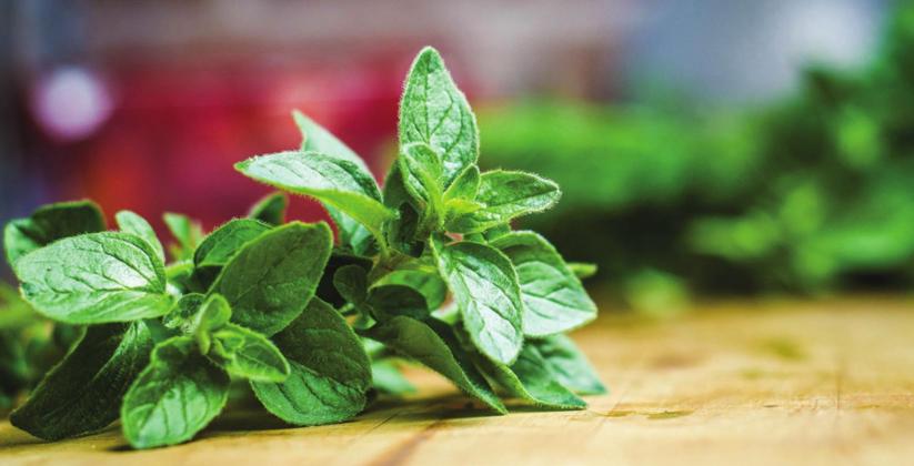 Fresh Herbs to Help Reduce Your Reliance on Sodium for Flavor