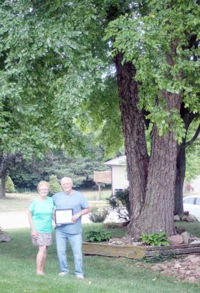 JANENE AND DWAYNE BARTELS stand beside their State Champion Tree, a river birch in the front yard of their Tecumseh residence.