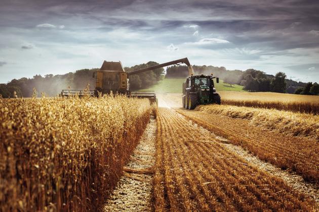 Three Challenges Facing the Agricultural Sector