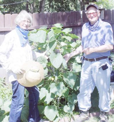 RUTH ANN AND TOM ROTHER hold up a couple of cucumbers from a tall vine in their yard. The Rothers keep busy during the summer months harvesting fruits and vegetables from their fruit trees and garden to use in their baking and canning processes in preparation for the winter months.
