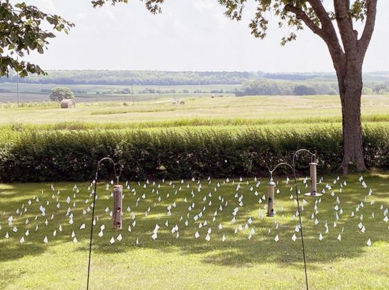 These white flags in Pastor Eric Biehl’s yard are meant to raise awareness of the loss of life that has come with the Coronavirus Pandemic.
